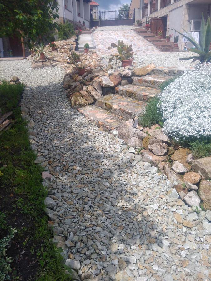 Tokaj Hill Panorama Guesthouse 세렌치 외부 사진