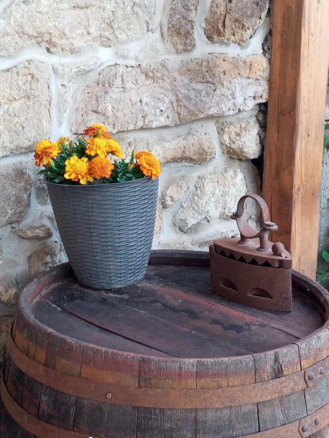 Tokaj Hill Panorama Guesthouse 세렌치 외부 사진
