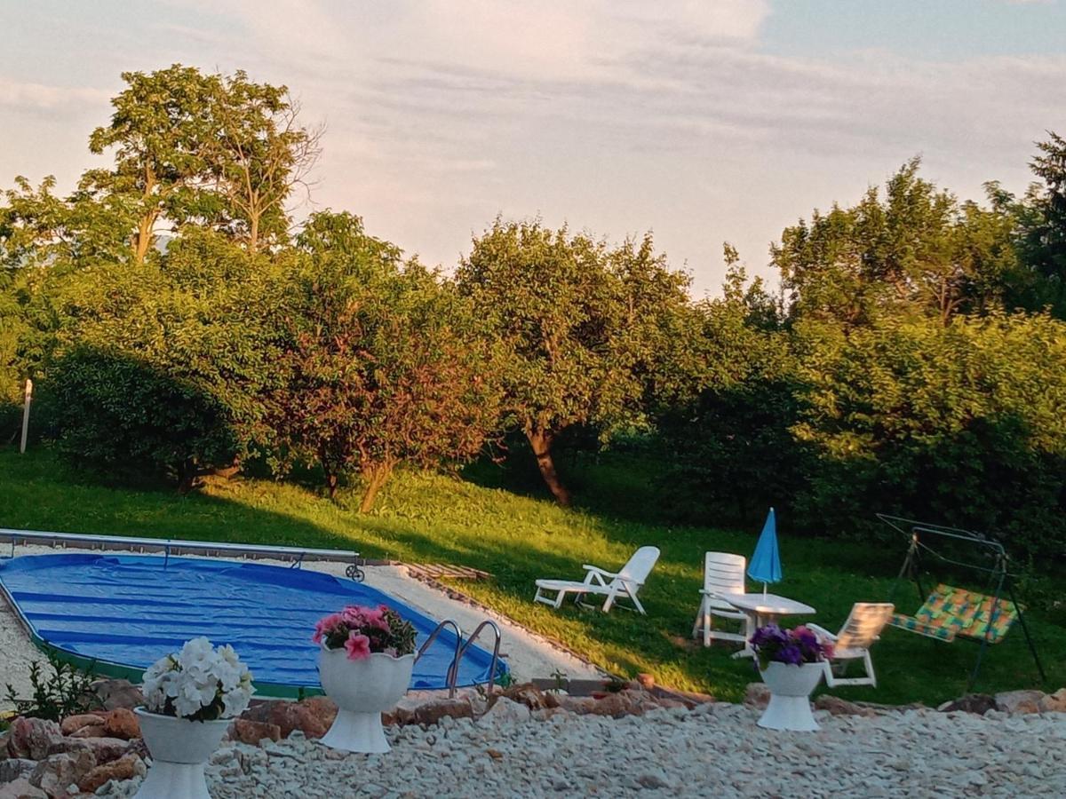 Tokaj Hill Panorama Guesthouse 세렌치 외부 사진