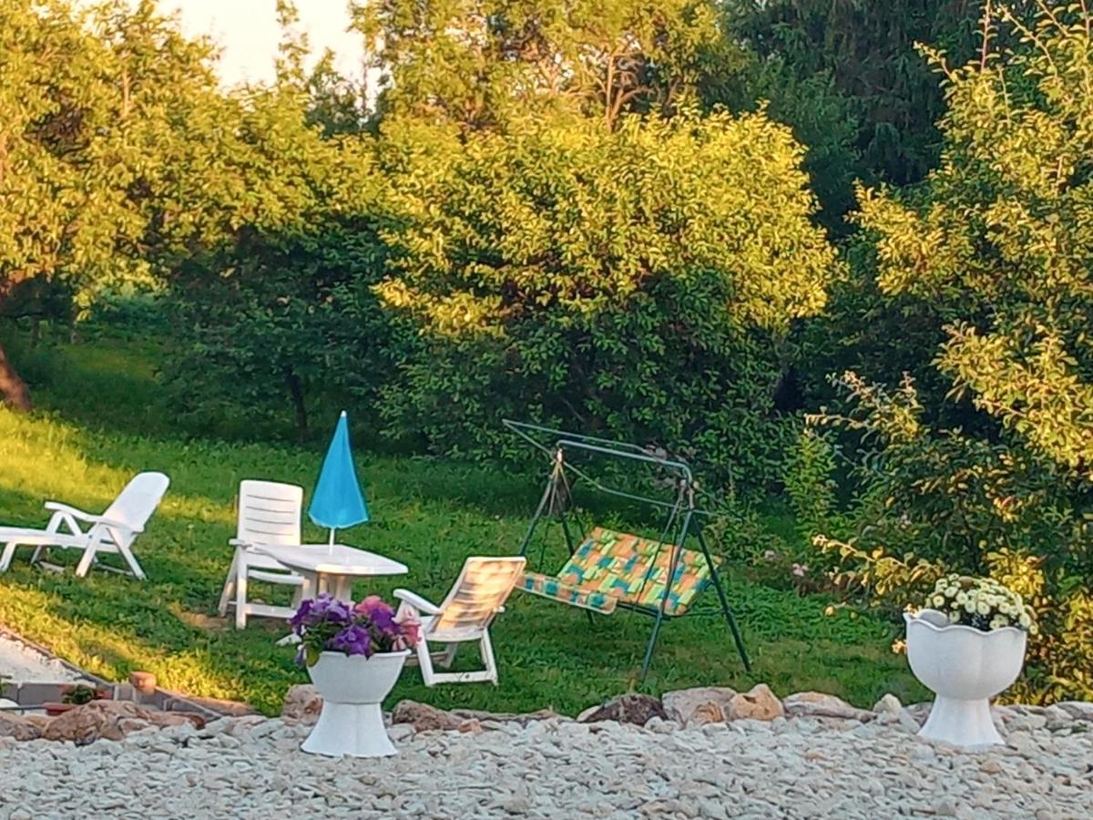 Tokaj Hill Panorama Guesthouse 세렌치 외부 사진