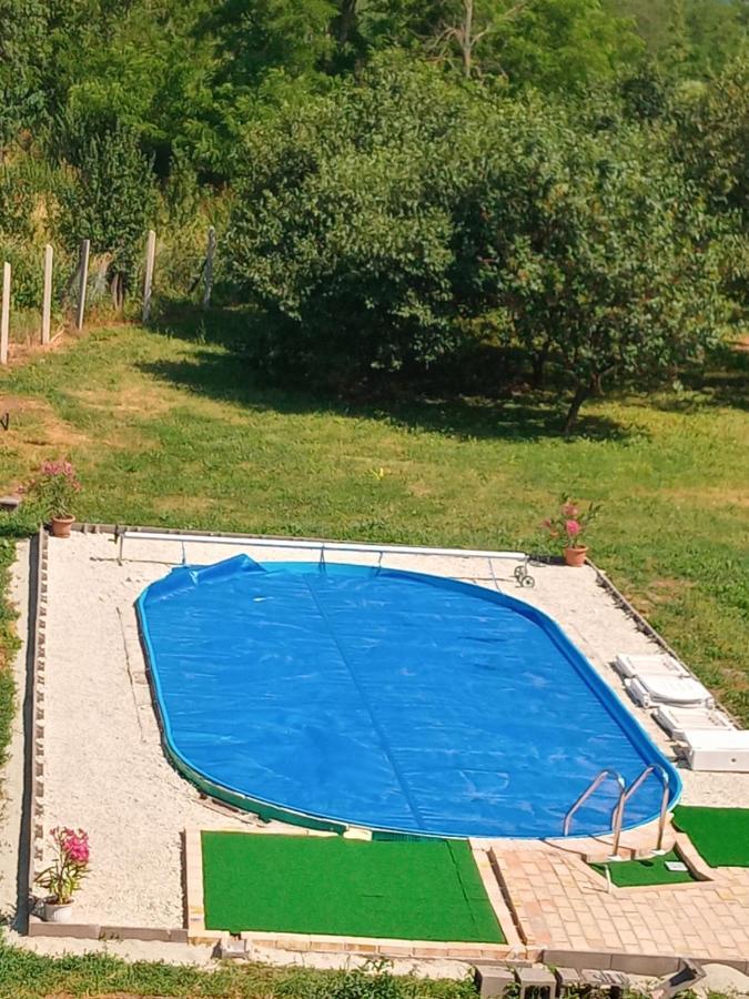 Tokaj Hill Panorama Guesthouse 세렌치 외부 사진