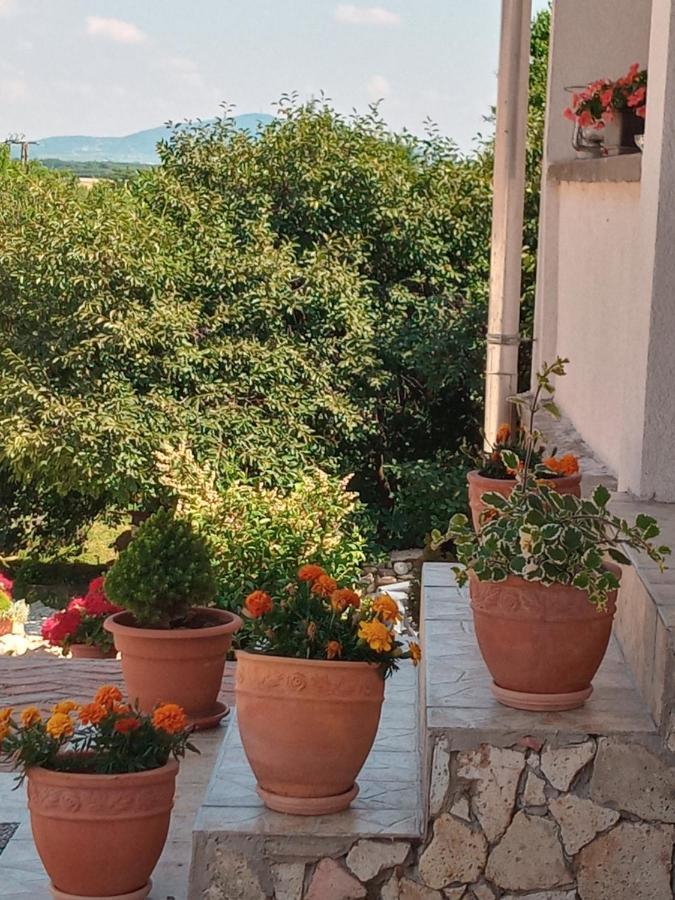 Tokaj Hill Panorama Guesthouse 세렌치 외부 사진