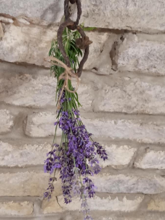 Tokaj Hill Panorama Guesthouse 세렌치 외부 사진