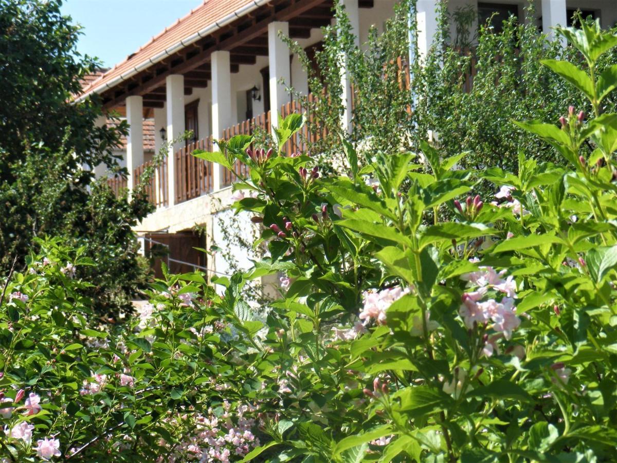 Tokaj Hill Panorama Guesthouse 세렌치 외부 사진