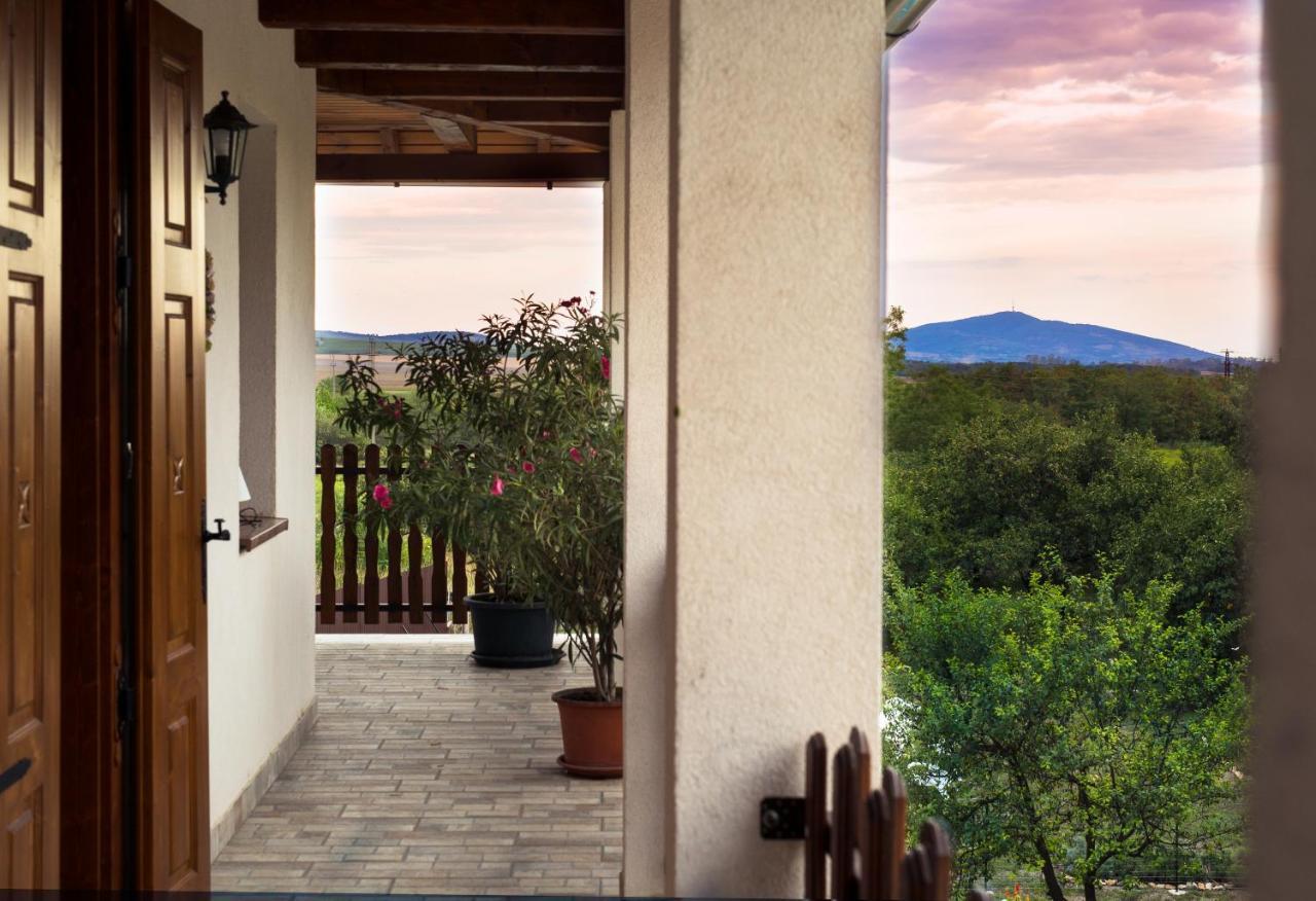Tokaj Hill Panorama Guesthouse 세렌치 외부 사진