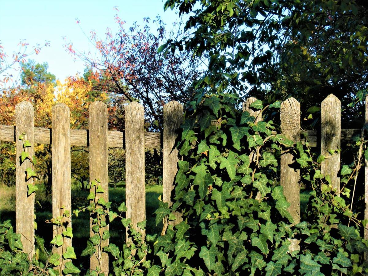 Tokaj Hill Panorama Guesthouse 세렌치 외부 사진